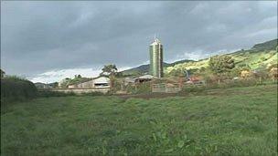 _51455484_farm304