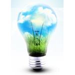 Environment UK news image